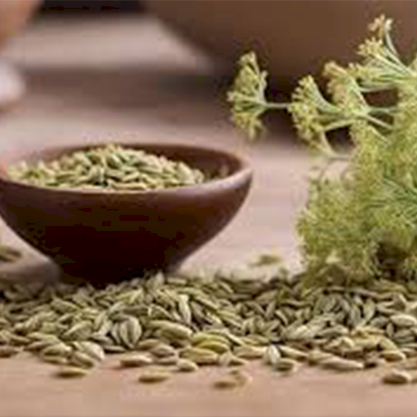 Fennel Seeds