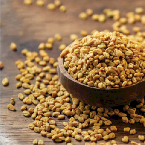 Fenugreek Seeds