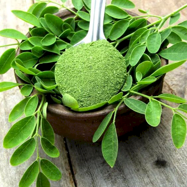 Moringa Leaves Powder