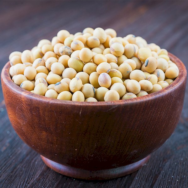  Soybean