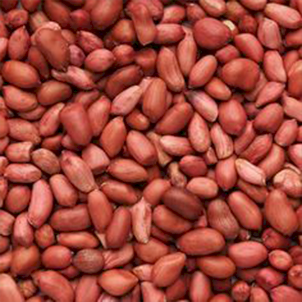 Groundnuts