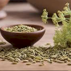 Fennel Seeds