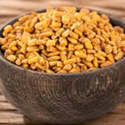 Fenugreek Seeds