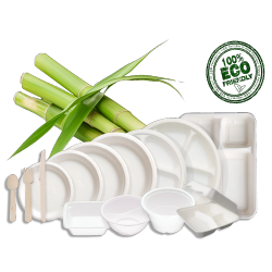 Sugarcane Bagasse Tableware 