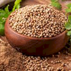 Coriander Seeds